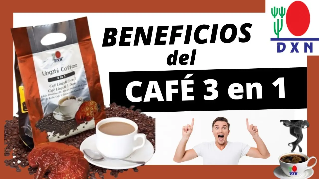 DXN Café Negro 3 en 1 Lingzhi: Qué es, Cómo se Usa y sus Beneficios