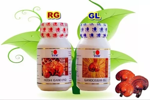 Ganoderma Reishi Gano: Qué es, Cómo se Usa y sus Beneficios