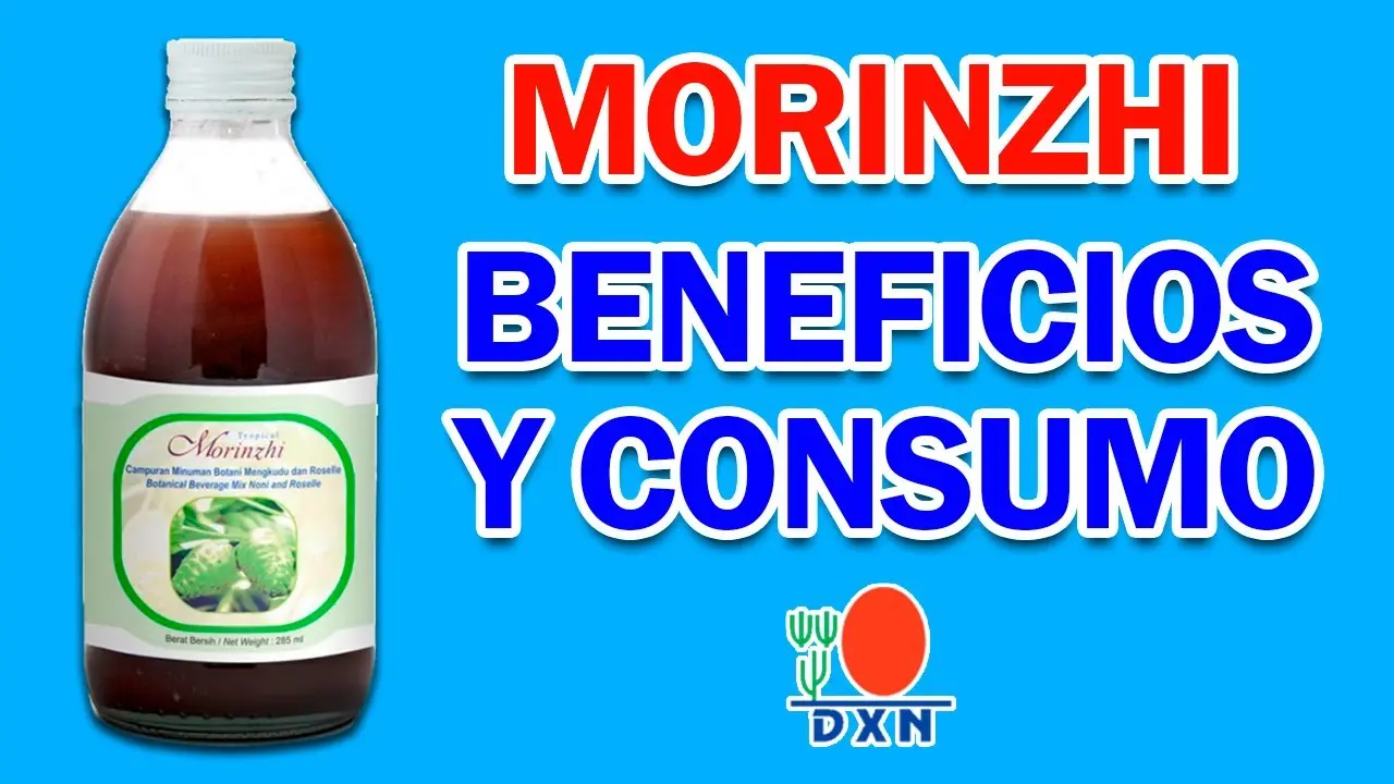 DXN Morinzhi: Qué es, Cómo se Usa y sus Beneficios